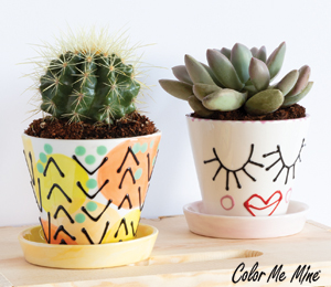 Webster Cute Planters