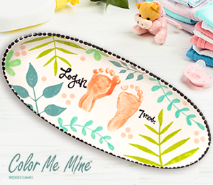 Webster Tropical Baby Tray